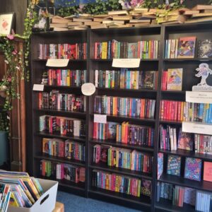 Photo of three bookcases of books.